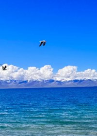 Traveler photo: By Namtso Lake, all you see is deep blue—so quiet it leaves you speechless. (May 2026)