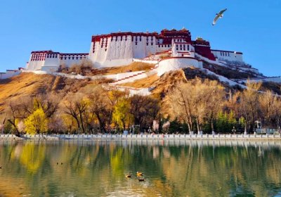 Traveler photo: Potala Palace, Tibet’s most iconic landmark, shines brilliantly against the clear May skies. (May 2025)