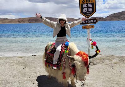 Traveler photo: Adorable yaks make perfect companions to Yamdrok Lake's beauty. (May 2025)