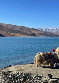 Traveler photo: Prayer flags dancing in the breeze against Yamdrok Lake's blue backdrop. (May 2025)