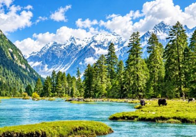 Traveler photo: Blue rivers, clear skies, and lush forests make Nyingchi a great place to visit in October. (October 2026)