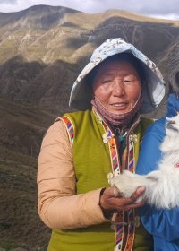 Traveler photo: Our beloved travelers take photos with a decorated Tibetan goat as a memorable experience. (October 2026)
