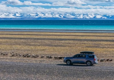 Traveler photo: Namtso Lake framed by snow-capped mountains in the distance. (September 2026)