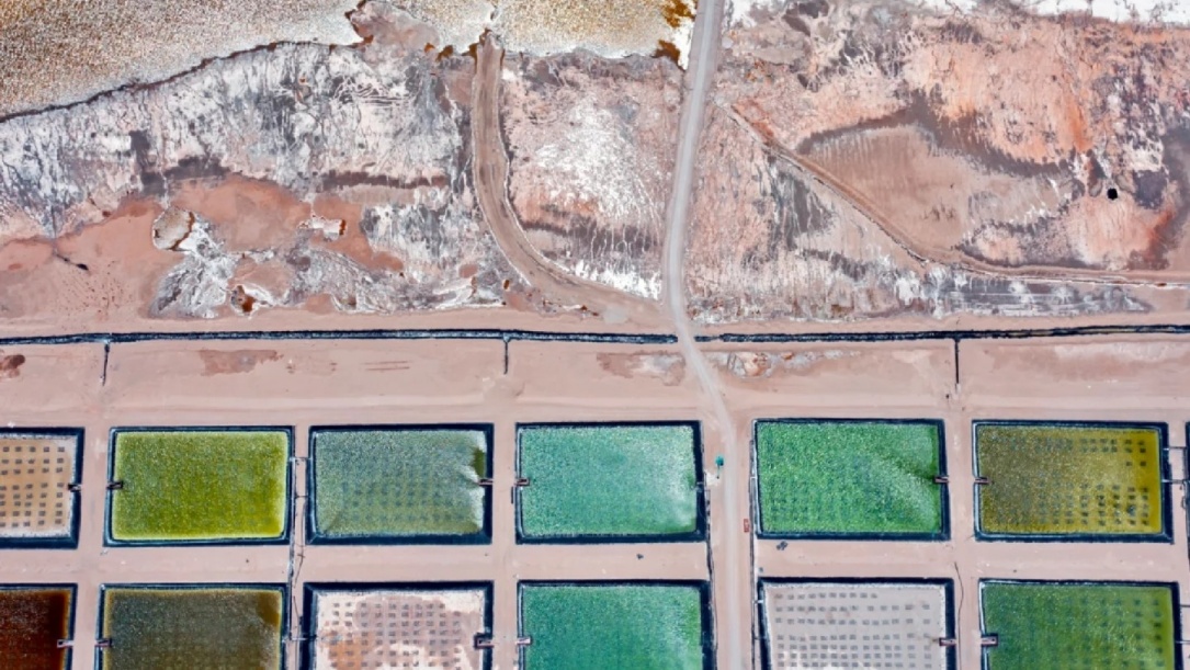 Aerial view of green salt flats grid