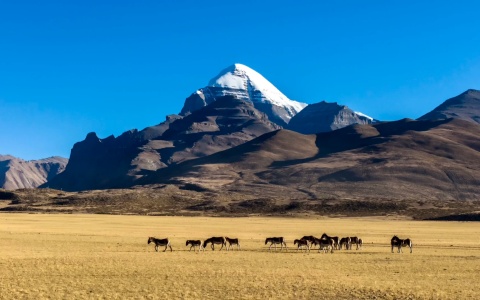 13 Days Tibet Photography Tour: Everest, Mount Kailash & Guge Kingdom