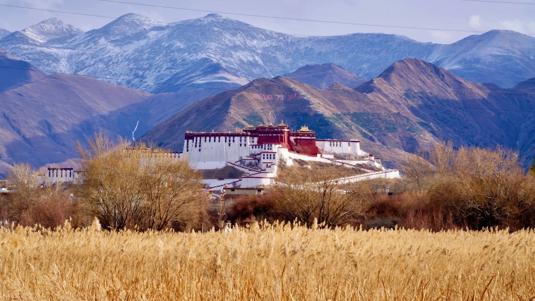 Potala Palace behind golden wetlands