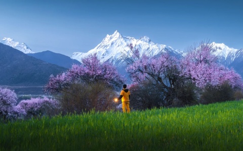 8 Days Tibet Nyingchi Peach Blossom Photography Tour: Capture Tibet's Most Beautiful Spring