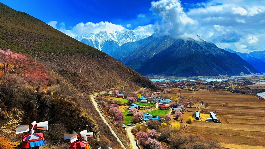 Peach Blossom in the Valley