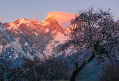 Namcha Barwa peak and peach blossoms in Nyingchi