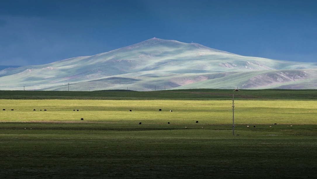 Green grassland in northern Tibet plateau