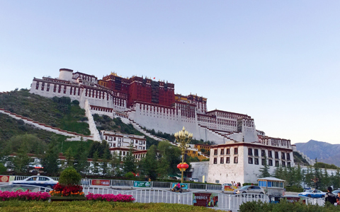 Potala Palace Height: How to Avoid Altitude Sickness When Visiting Potala Palace? 