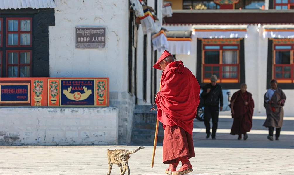 monks walking at Tashilhunpo Monastery