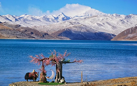 5 Days Lhasa to Yamdrok Lake Tour from Singapore