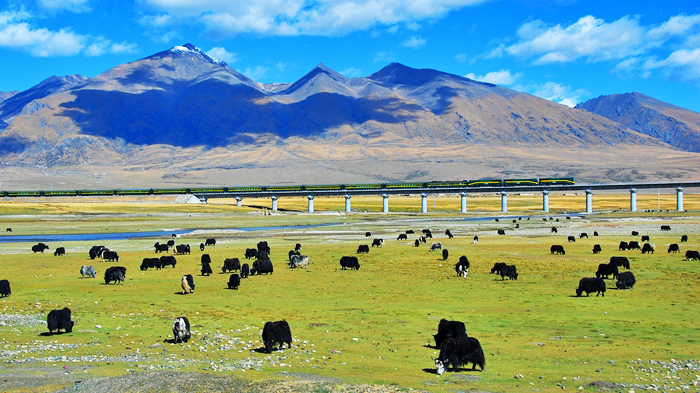 Beautiful scenery along the Qinghai Tibet Railway