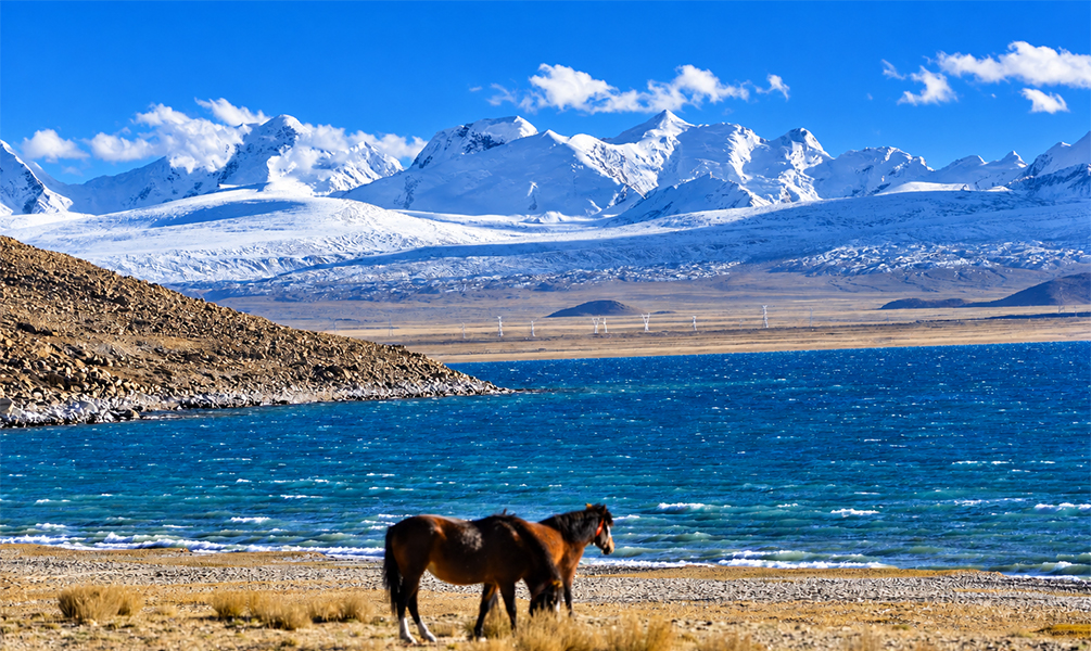 Peiku Tso Lake and Mt. Shishapangma