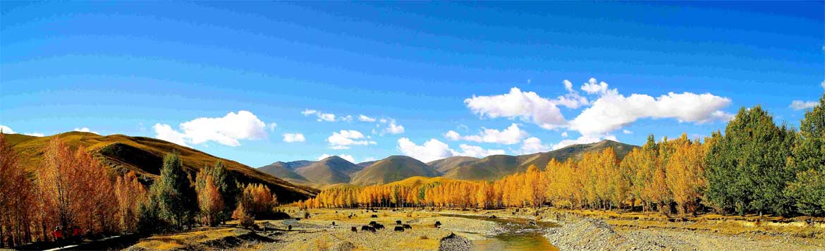 11 Days Amazing Western Sichuan Tour