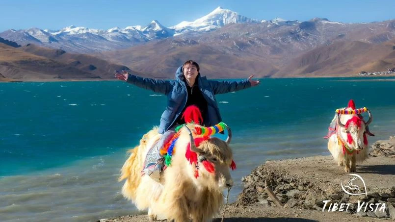 ride on tibetan yak at yamdrok lake