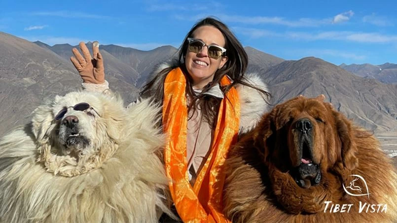 Take a Photo with Tibetan Mastiffs at Yamdrok Lake