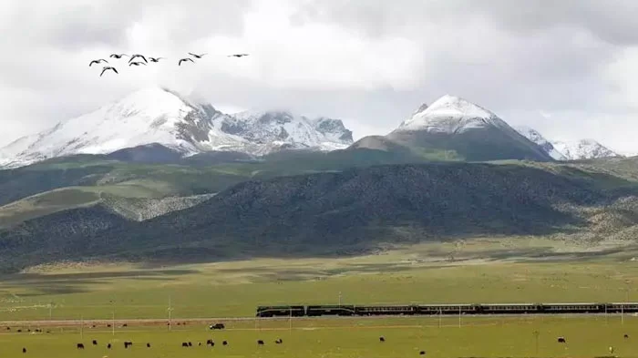 Xining to Lhasa Train to Tibet