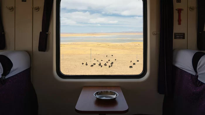 The Hard Seat of Tibet Trains