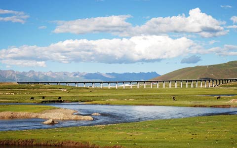 8 Days Classic Xi’an and Tibet Tour by Train