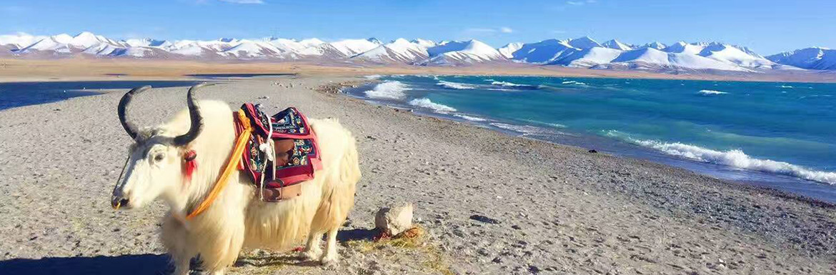 8 Days Tibet Discovery Tour by Train from Xining