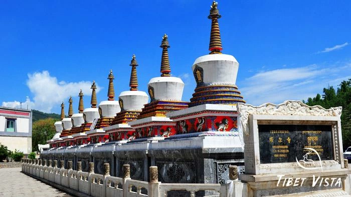 Visit the Ta’er Monastery in Xining