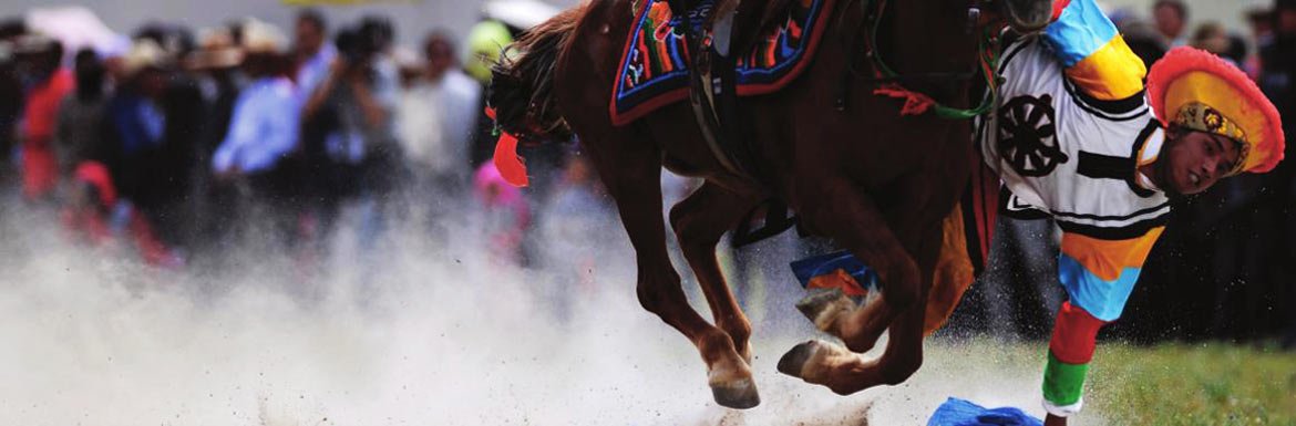 8 Days Tibet Nagqu Horse Racing Festival Budget Travel by Train