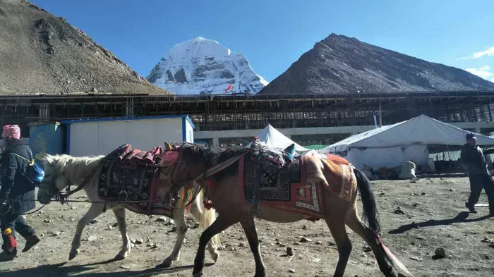 Hire Horse during Mount Kailash Trek