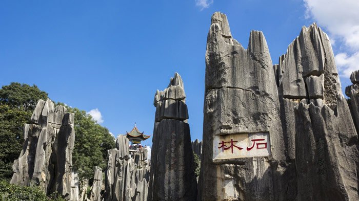 Stone Forest