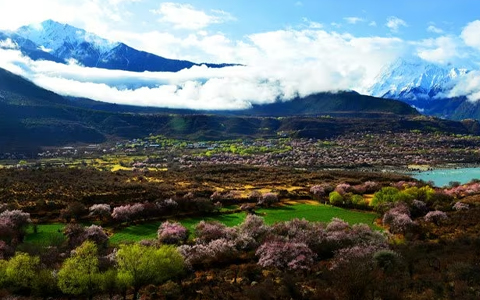 Never Miss the Peach Blossom in Nyingchi in March