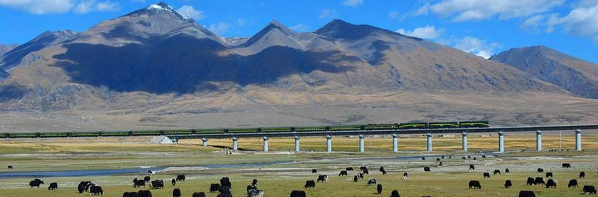 15 Days Xian Lhasa Everest Beijing Train Tour