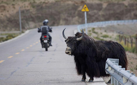 Tibet motorcycle tour