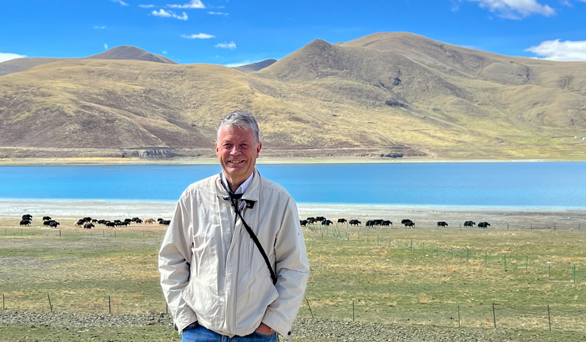 enjoy sapphire yamdrok lake and grazing yaks in autumn