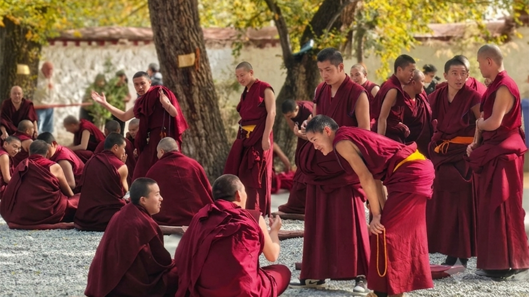watch tibetan monk debate in sera monastery in autumn