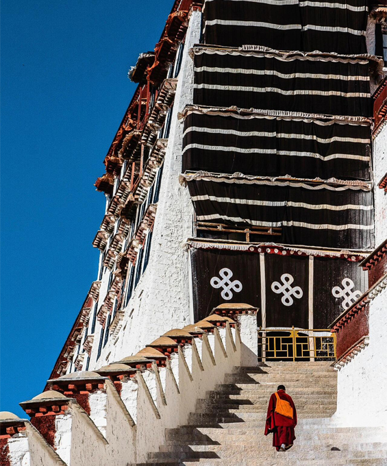 explore potala palace in autumn