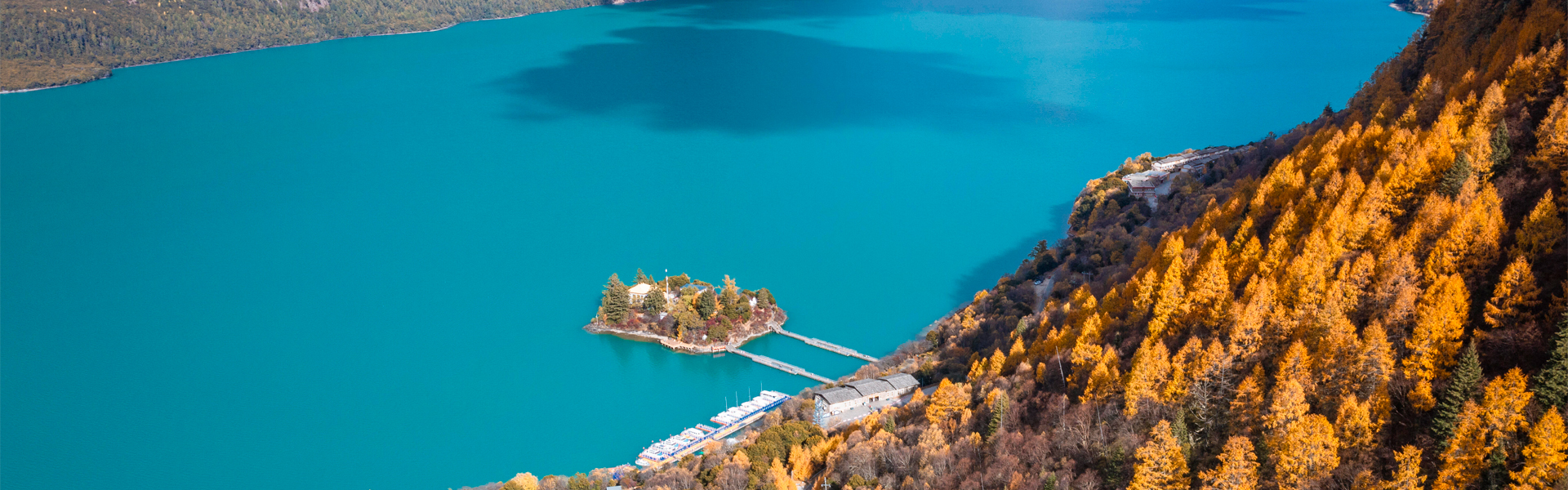 tibet autumn tour nyingchi golden forest and basumtso lake