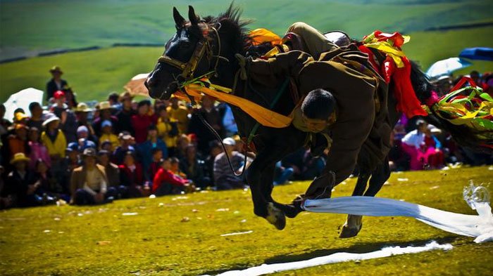 International horse racing festival