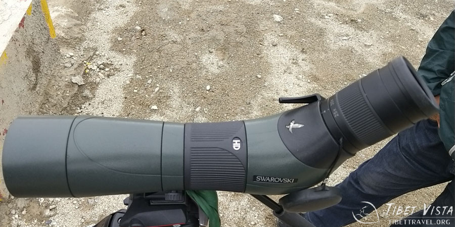 The Swarovski telescope our guests brought