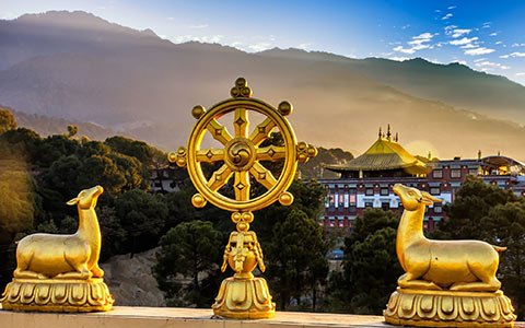 8 Auspicious Symbols of Tibetan Buddhism