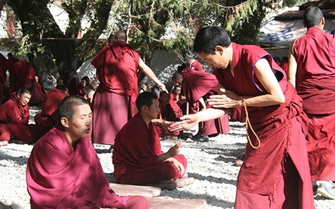 Debate in Tibetan Buddhism: What Are They Debating and Where to Enjoy the Debating in Tibet  