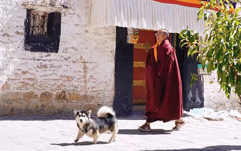 Tibetan Monks: Their Daily Life & How to Plan a Tibet Monk Tour?