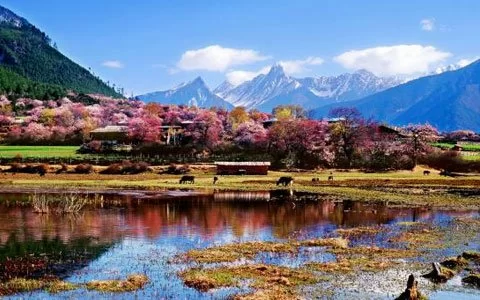 Visit Tibet in March