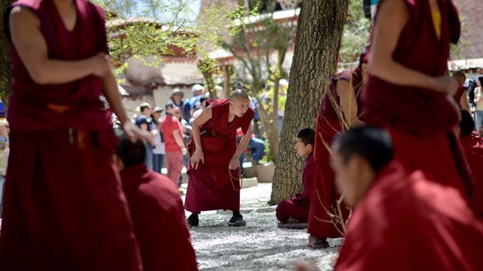 monk debate sera monastery