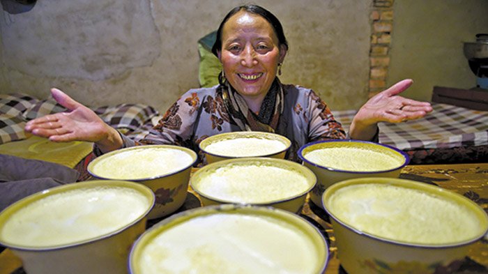 Tibetan yogurt