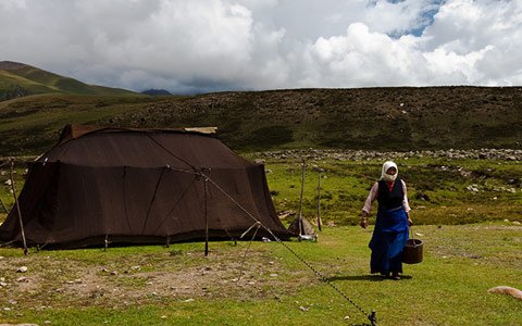 Tibetan Nomads - The Unique Nomadic Tribe Living on the Highest Plateau of Our Planet