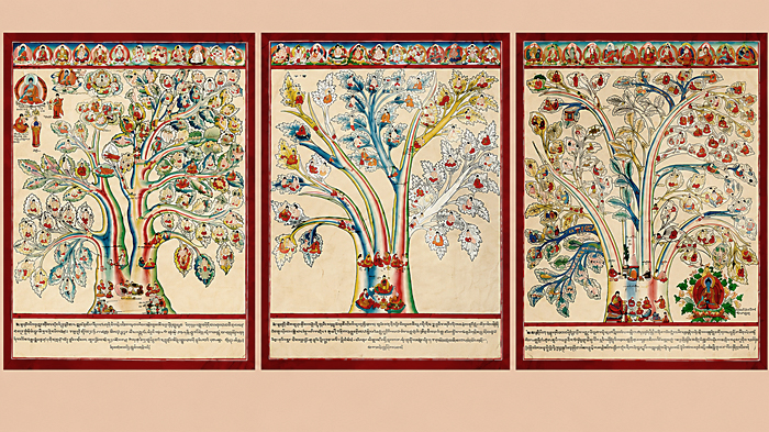 Medicine Trees