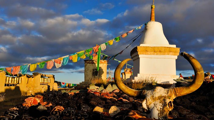 Tibetan yak horn