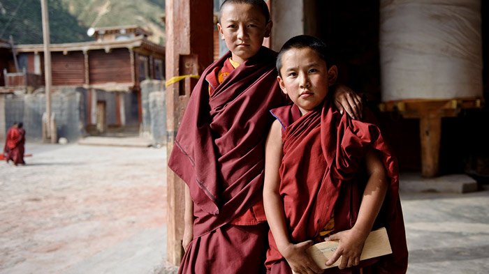 young tibetan monk