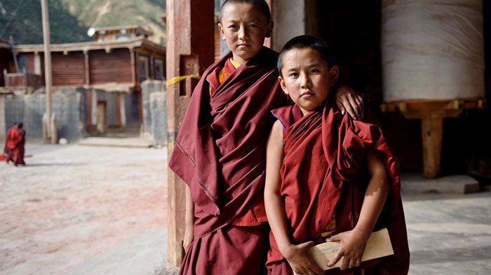 young buddhist monks studying